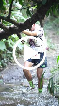 BIB:  <button type="button" onclick="openModal(27808228)" class="btn btn-primary btn-sm float-right" data-toggle="modal" data-target=".modal-high-quality">
                <i class="fa fa-download"></i> Download
                </button>